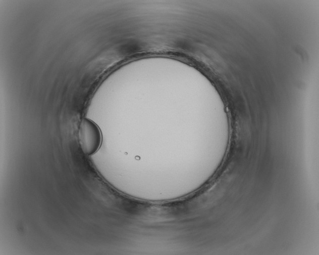 X0000113291265200910131019