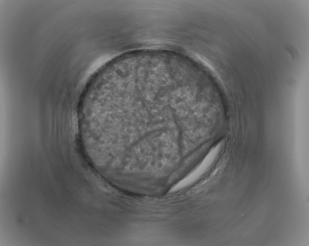 X0000113291267200910131019