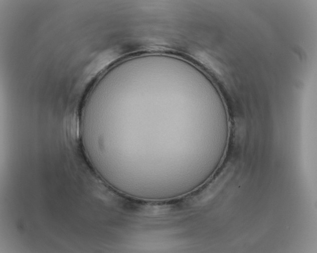 X0000113291269200910131019