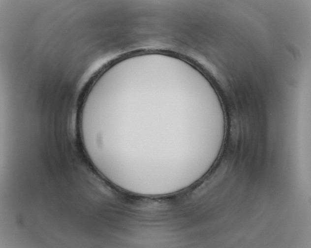 X0000113291270200910131019