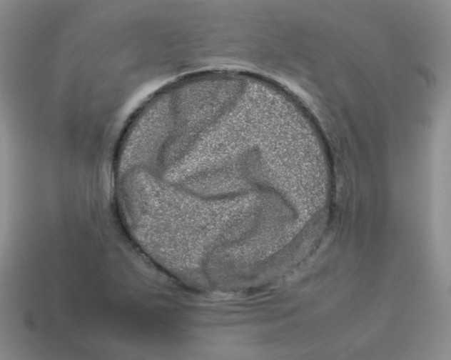 X0000113291271200910131019