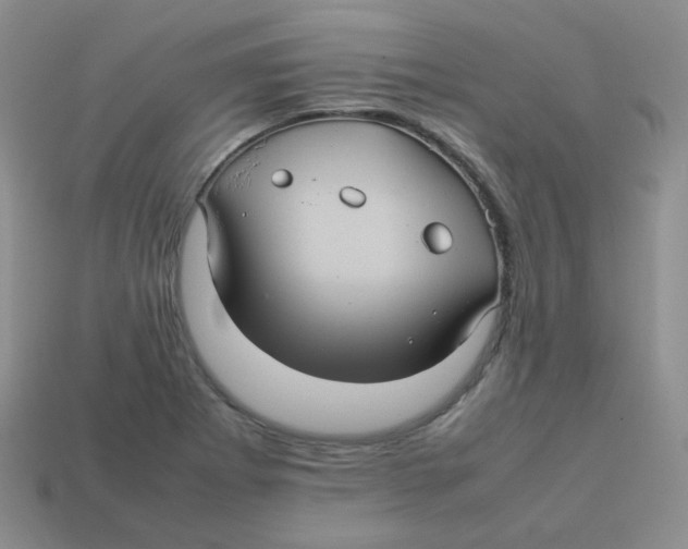 X0000113291273200910131019