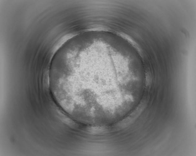 X0000113291274200910131019