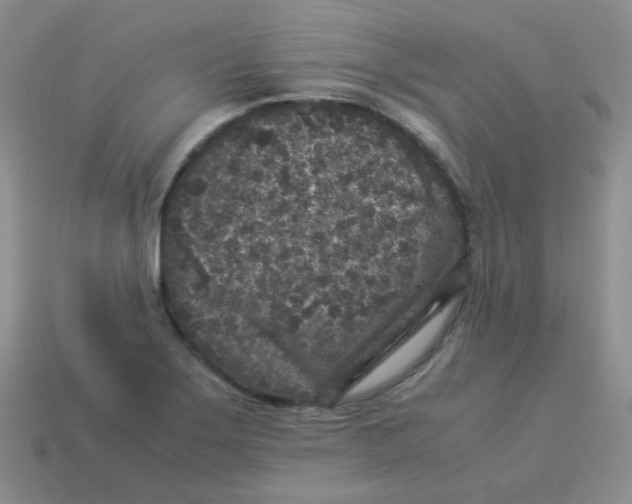 X0000113291275200910131019