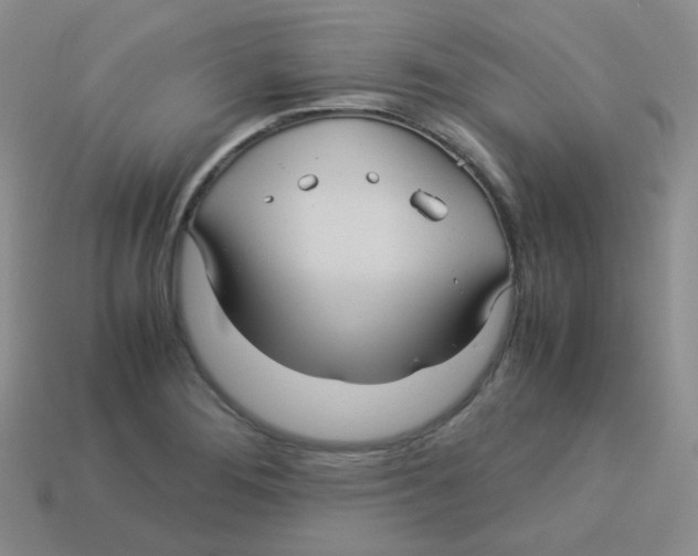 X0000113291276200910131019