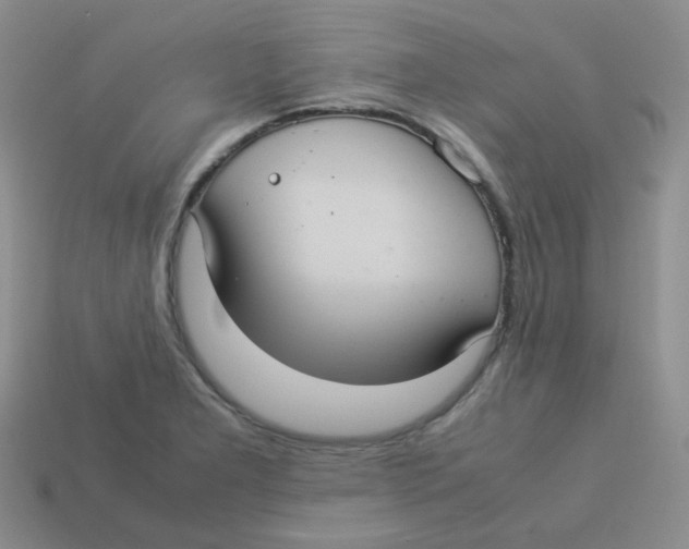 X0000113291277200910131019