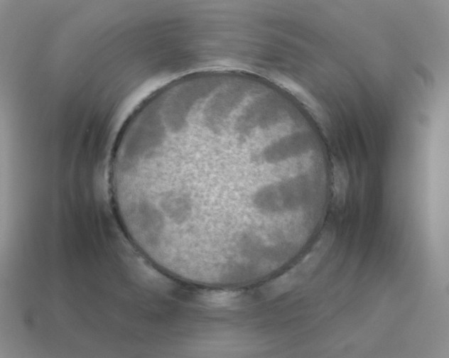 X0000113291278200910131019