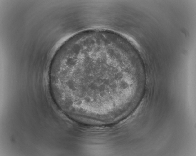X0000113291279200910131019