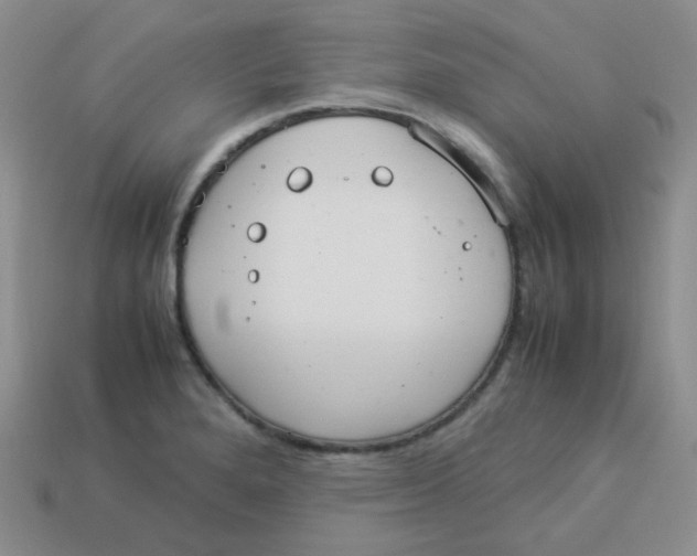 X0000113291280200910131019
