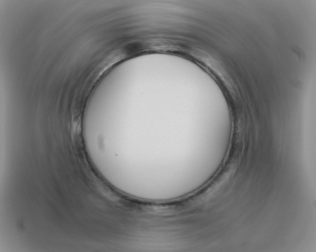 X0000113291281200910131019