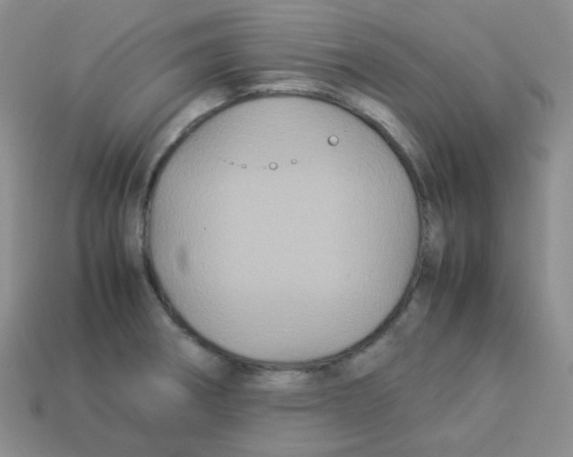 X0000113291282200910131019