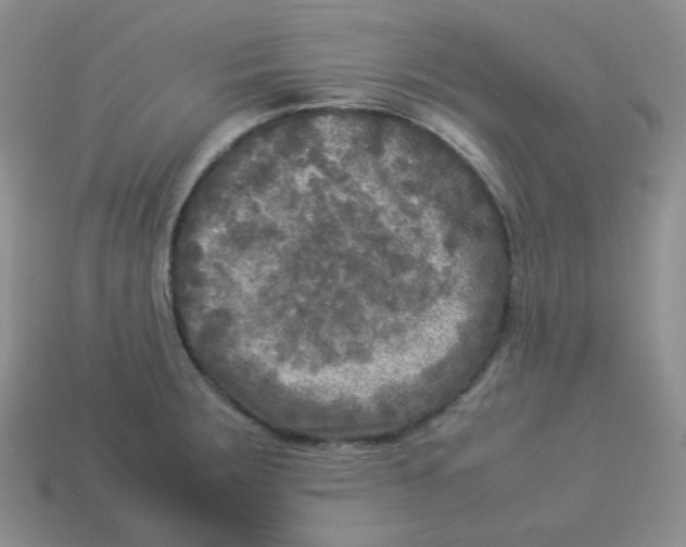 X0000113291283200910131019