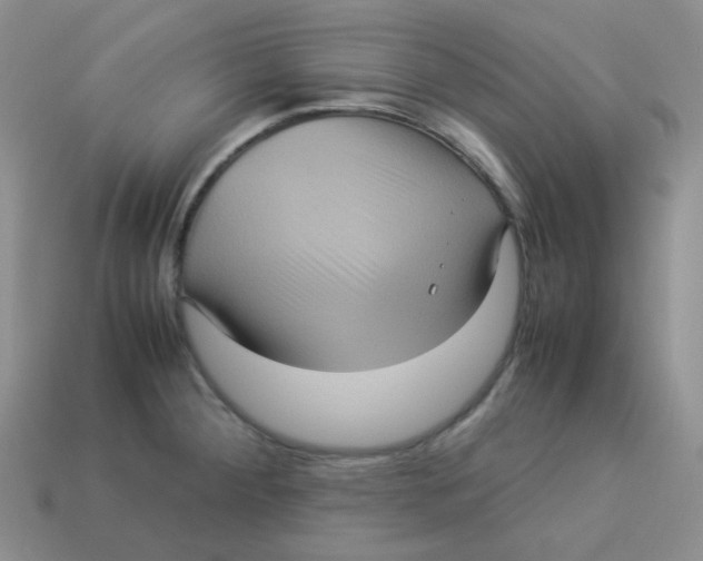 X0000113291284200910131019