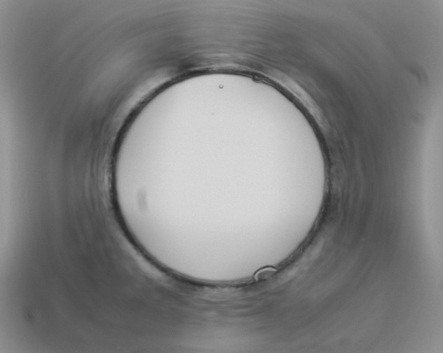 X0000113291285200910131018