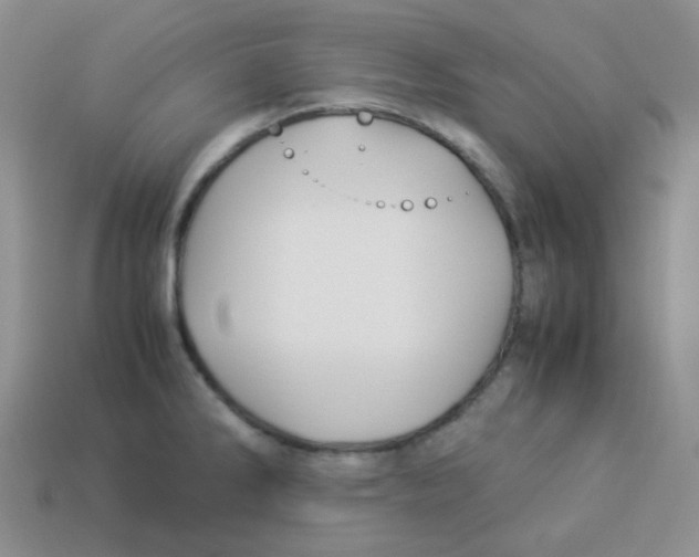 X0000113291286200910131018