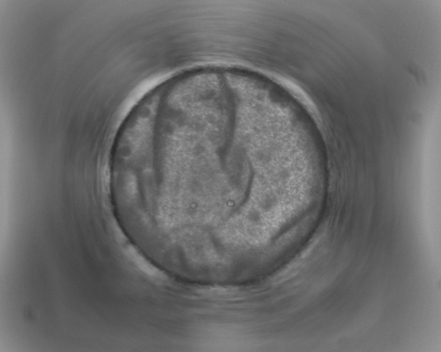 X0000113291287200910131018