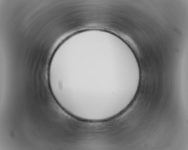 X0000113291288200910131018