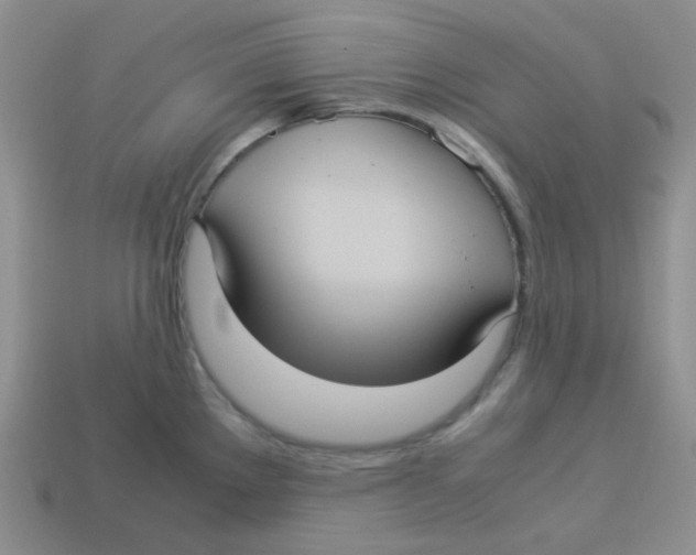 X0000113291289200910131018