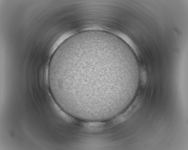 X0000113291290200910131018