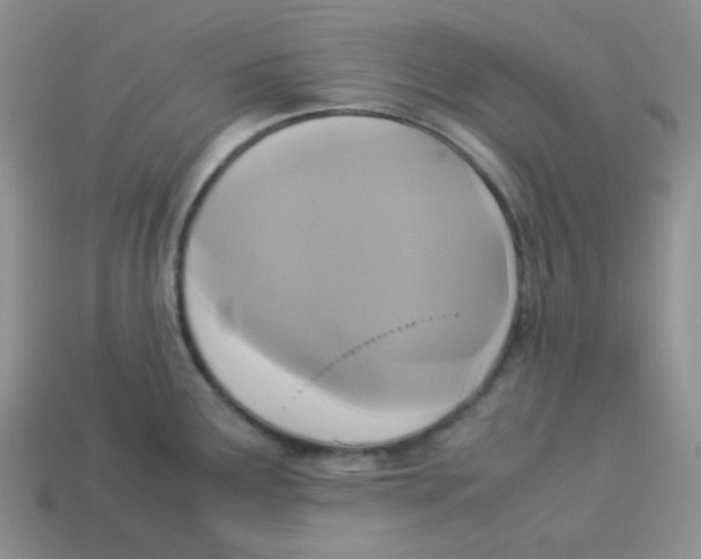 X0000113291291200910131018
