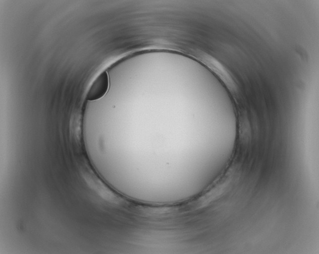 X0000113291292200910131018