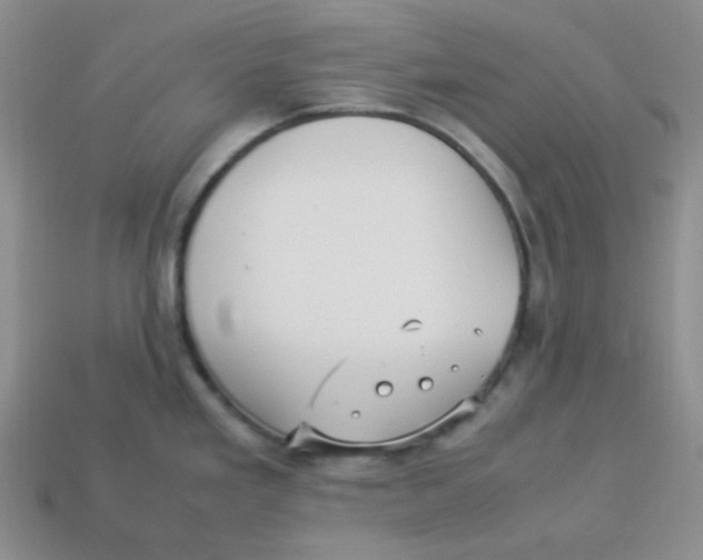 X0000113291293200910131018
