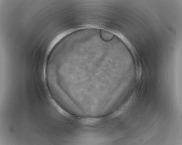 X0000113291294200910131018
