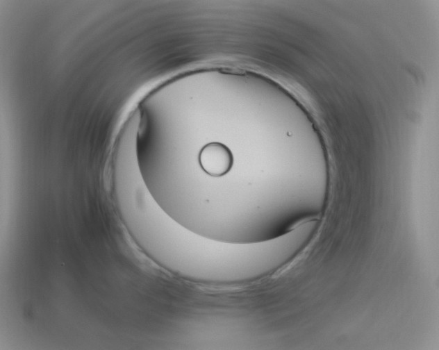 X0000113291296200910131018
