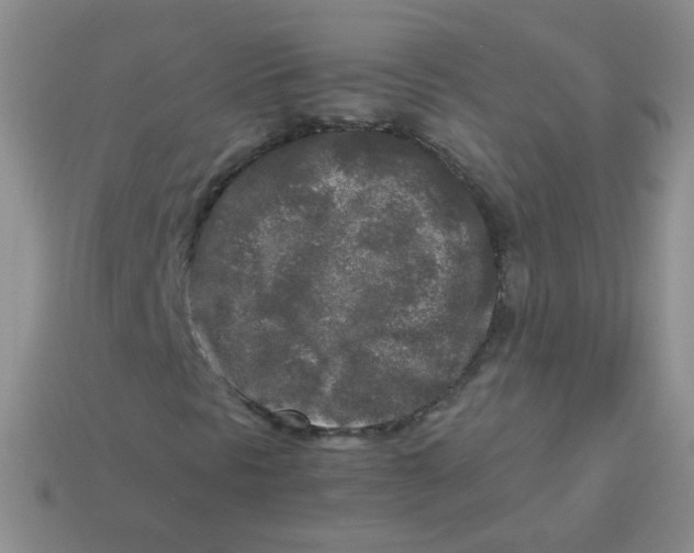X0000113291297200910131018