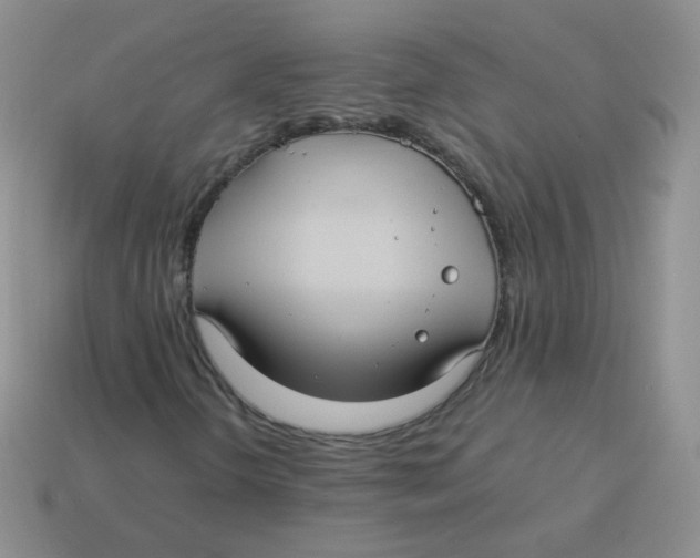 X0000113291298200910131018