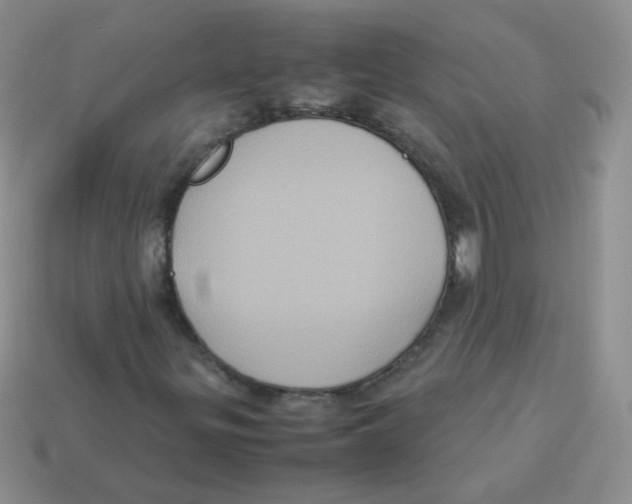 X0000113291299200910131018