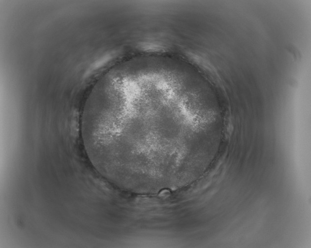 X0000113291301200910131018