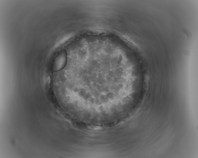 X0000113291302200910131018