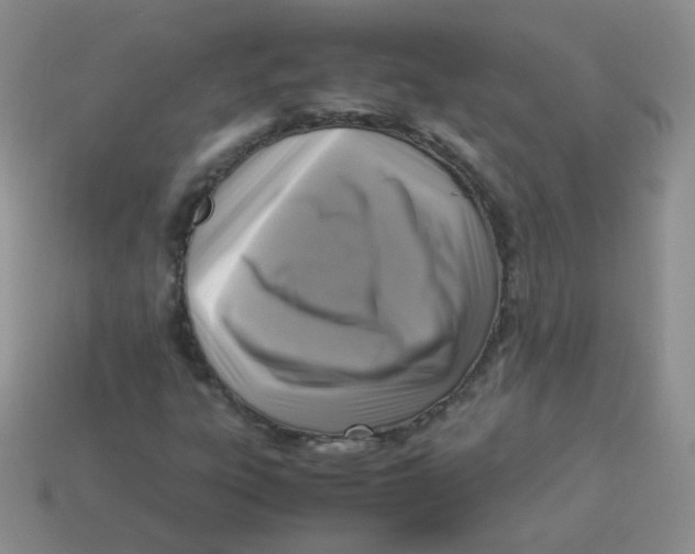 X0000113291303200910131018