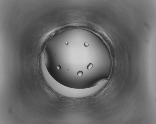 X0000113291304200910131018