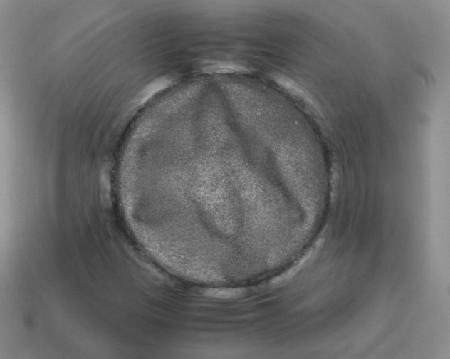 X0000113291305200910131018