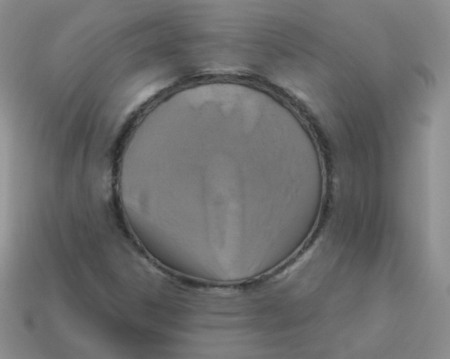 X0000113291306200910131018