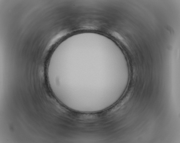 X0000113291307200910131018