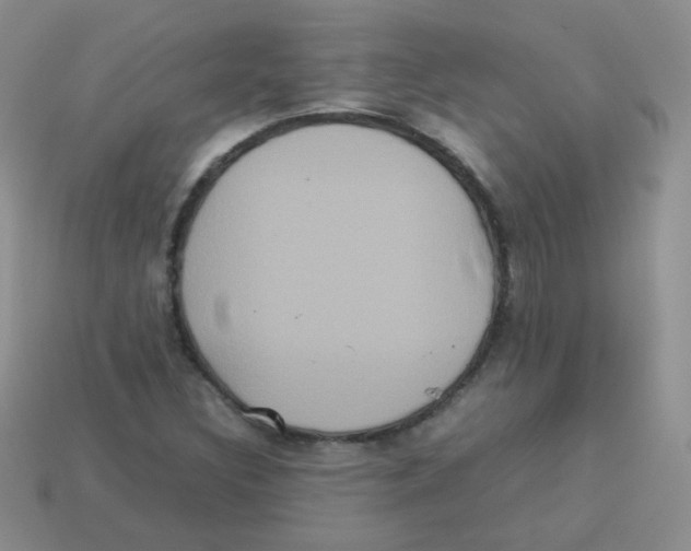 X0000113291308200910131018