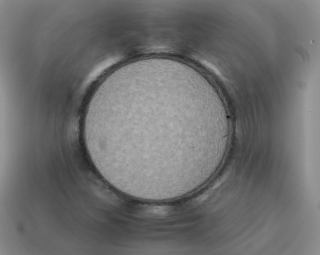 X0000113291309200910131018