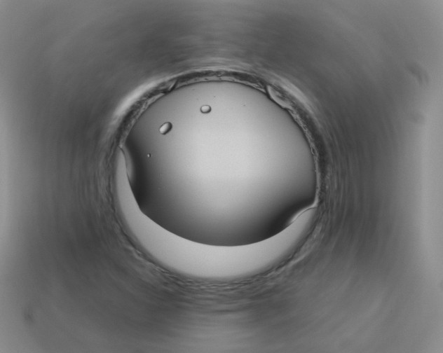 X0000113291310200910131018