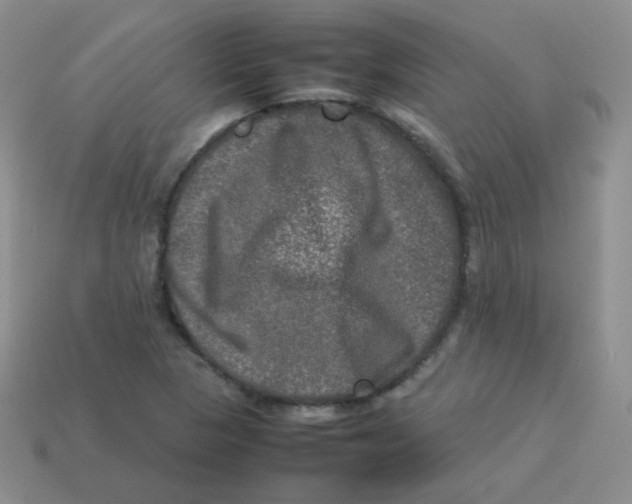 X0000113291313200910131018