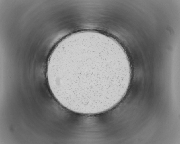 X0000113291314200910131018