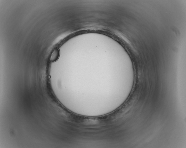 X0000113291315200910131018