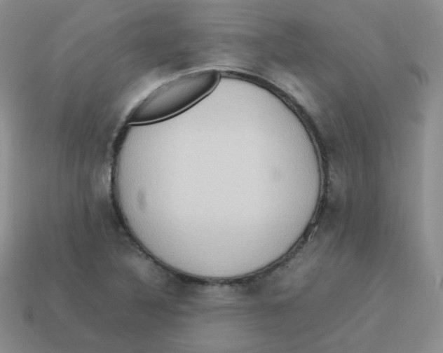 X0000113291316200910131018