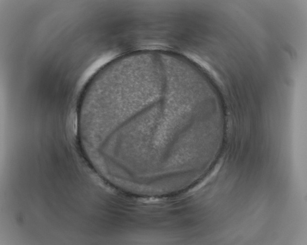 X0000113291317200910131018