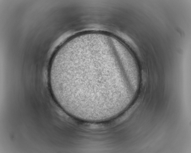 X0000113291318200910131018