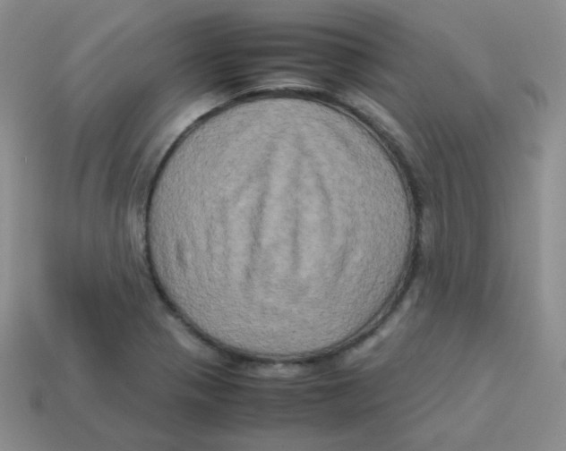 X0000113291321200910131018