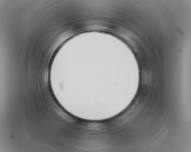 X0000113291322200910131018