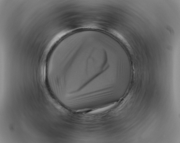 X0000113291323200910131018
